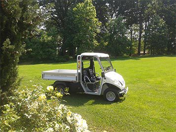 Electric vehicles for parks