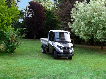 Buggy for golf course